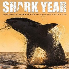 Shark Year 2026 12 X 12 Wall Calendar - Willow Creek Press