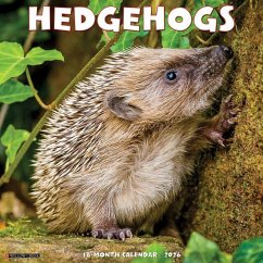Cover Hedgehogs 2026 12 X 12 Wall Calendar