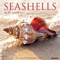 Cover Seashells 2026 Wall Calendar