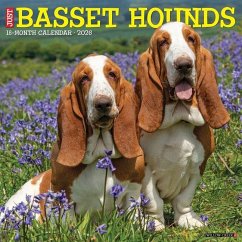 Cover Basset Hounds 2026 12 X 12 Wall Calendar