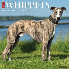 Whippets 2026 Wall Calendar - Willow Creek Press
