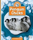 Penguin Chicks