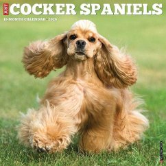 Cocker Spaniels 2026 12 X 12 Wall Calendar - Willow Creek Press Cocker Spaniels 2026 12 X 12 Wall Calendar - Willow Creek Press
