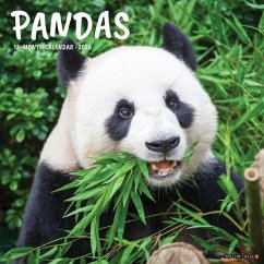 Pandas 12 X 12 Wall Calendar - Willow Creek Press