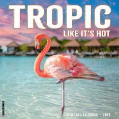 Tropic Like It's Hot 12 X 12 Wall Calendar - Willow Creek Press