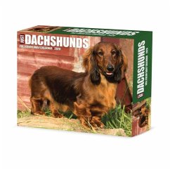 Cover Dachshunds 2026 5.4 X 6.2 Box Calendar
