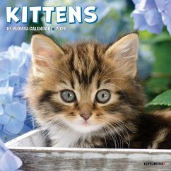 Cover Kittens 2026 7 X 7 Mini Wall Calendar
