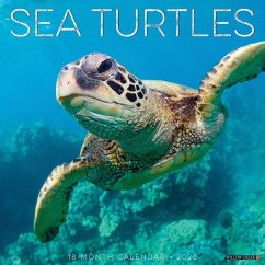 Cover Sea Turtles 2026 12 X 12 Wall Calendar