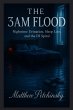 The 3AM Flood - Bild 1