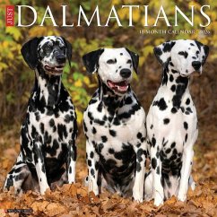 Cover Dalmatians 2026 12 X 12 Wall Calendar