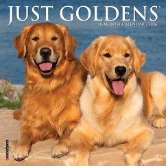 Just Goldens 2026 7 X 7 Mini Wall Calendar - Willow Creek Press