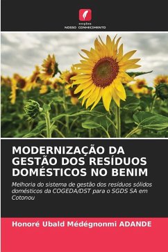 MODERNIZAÇÃO DA GESTÃO DOS RESÍDUOS DOMÉSTICOS NO BENIM Cover MODERNIZAÇÃO DA GESTÃO DOS RESÍDUOS DOMÉSTICOS NO BENIM