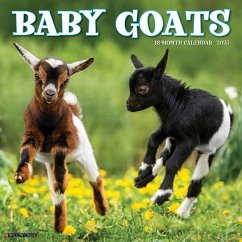 Cover Baby Goats 2026 Wall Calendar