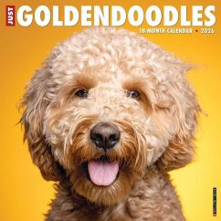 Goldendoodles 2026 12 X 12 Wall Calendar - Willow Creek Press