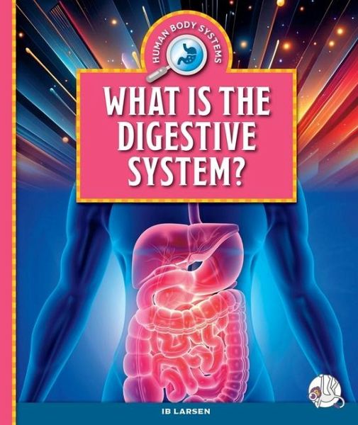 What Is the Digestive System? What Is the Digestive System?