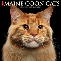 Cover Maine Coon Cats 2026 12 X 12 Wall Calendar