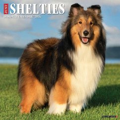Cover Shelties 2026 12 X 12 Wall Calendar