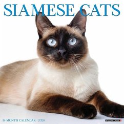 Siamese Cats 2026 12 X 12 Wall Calendar - Willow Creek Press