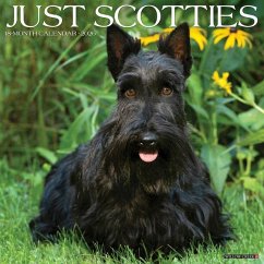 Cover Scotties 2026 Wall Calendar