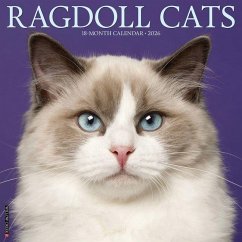 Cover Ragdoll Cats 2026 12 X 12 Wall Calendar