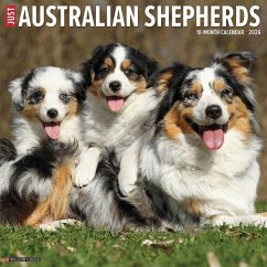 Australian Shepherds 2026 12 X 12 Wall Calendar - Willow Creek Press Australian Shepherds 2026 12 X 12 Wall Calendar - Willow Creek Press