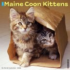 Maine Coon Kittens 2026 Wall Calendar Maine Coon Kittens 2026 Wall Calendar