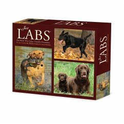Cover Just Labs 2026 5.4 X 6.2 Box Calendar