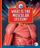 What Is the Muscular System?