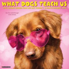 What Dogs Teach Us 2026 12 X 12 Wall Calendar - Willow Creek Press