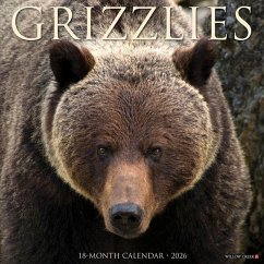 Grizzlies 2026 12 X 12 Wall Calendar - Willow Creek Press