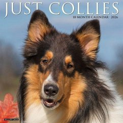 Cover Collies 2026 12 X 12 Wall Calendar