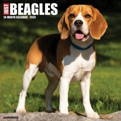 Beagles 2026 12 X 12 Wall Calendar - Willow Creek Press Beagles 2026 12 X 12 Wall Calendar - Willow Creek Press