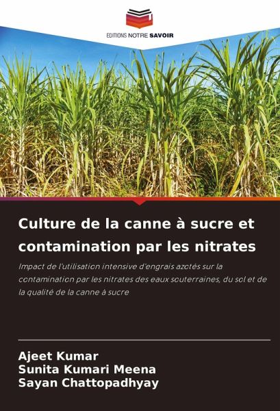 Culture de la canne à sucre et contamination par les nitrates