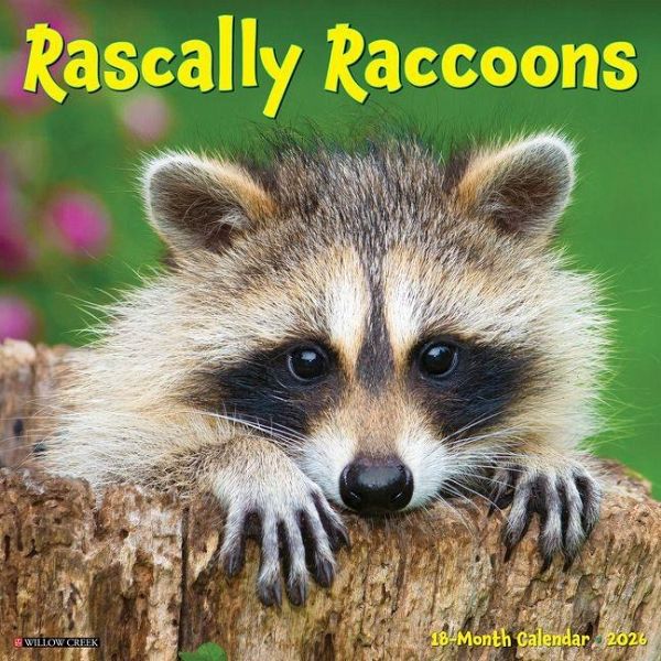 Rascally Raccoons 2026 Wall Calendar