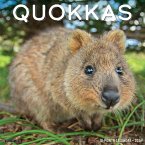 Quokkas 2026 12 X 12 Wall Calendar