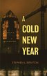 A Cold New Year (eBook, ePUB) - Bild 1