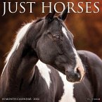 Horses 2026 12 X 12 Wall Calendar Horses 2026 12 X 12 Wall Calendar
