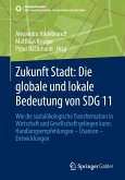 Zukunft Stadt: Die globale und lokale Bedeutung von SDG 11 (eBook, PDF)