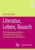 Literatur, Leben, Rausch (eBook, PDF)