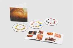 Selected Ambient Works Volume Ii - Aphex Twin