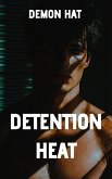 Detention Heat (eBook, ePUB)