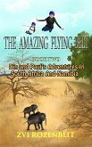 The Amazing Flying Belt - Book Two Diamonds and Danger in the Kalahari. Din and Paul's amazing adventures in South Africa and Namibia. (eBook, ePUB)