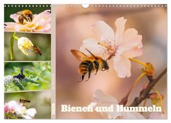 Bienen und Hummeln in Aktion (Wandkalender 2026 DIN A3 quer), CALVENDO Monatskalender