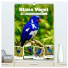 Blaue Vögel (hochwertiger Premium... - Bild 1