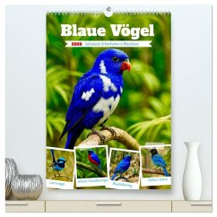 Cover Blaue Vögel (hochwertiger Premium Wandkalender 2026 DIN A2 hoch), Kunstdruck in Hochglanz