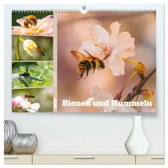 Bienen und Hummeln in Aktion (hochwertiger Premium Wandkalender 2026 DIN A2 quer), Kunstdruck in Hochglanz