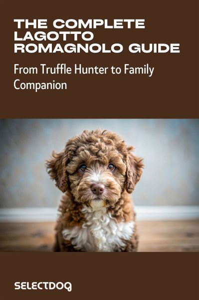The Complete Lagotto Romagnolo Guide: From Truffle Hunter to Family Companion (eBook, ePUB) The Complete Lagotto Romagnolo Guide: From Truffle Hunter to Family Companion (eBook, ePUB)