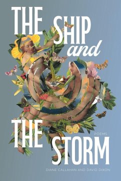 Cover The Ship and the Storm
