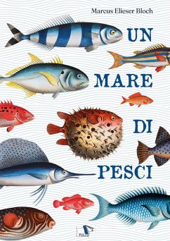 Cover Un mare di pesci