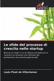 Le sfide del processo di crescita nelle startup Le sfide del processo di crescita nelle startup